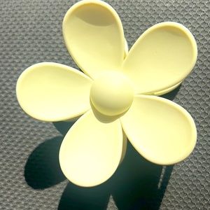 This flower hair clip . I have tons of them and I don’t need this one anymore